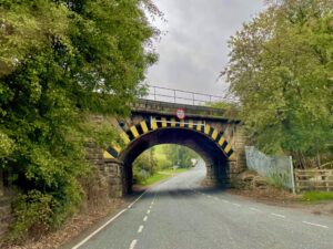 tree-bridge-nature-travel-england-scenic-sto-2023-08-03-06-12-53-utc-min-scaled