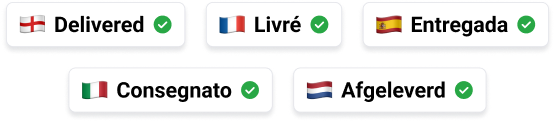 FG-Multi-Lingual-Trasport-Management-System-Chips